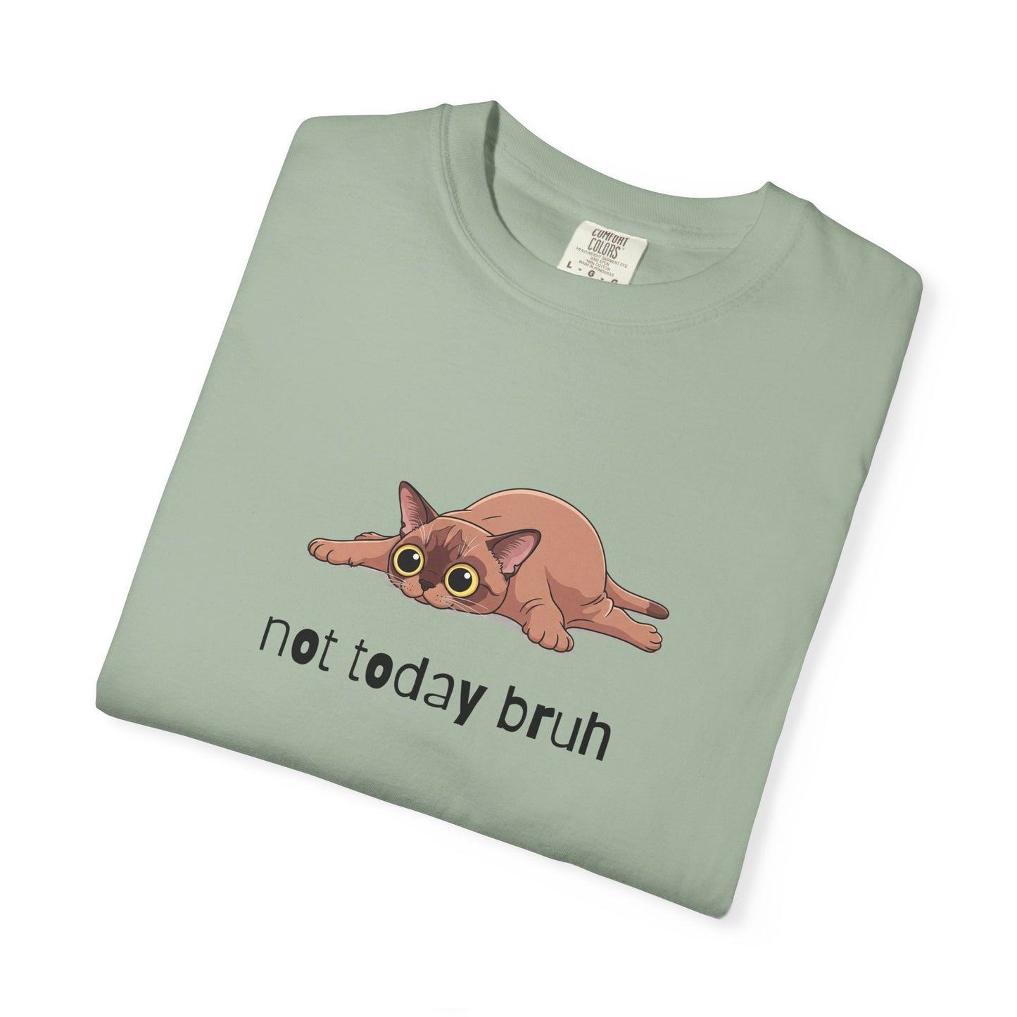 Short hair brown cat Not Today Bruh T-Shirt