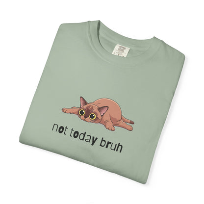 Short hair brown cat Not Today Bruh T-Shirt