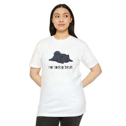 Pomeranian "Not Today" Relaxed Tee | Gift for Pet Lovers
