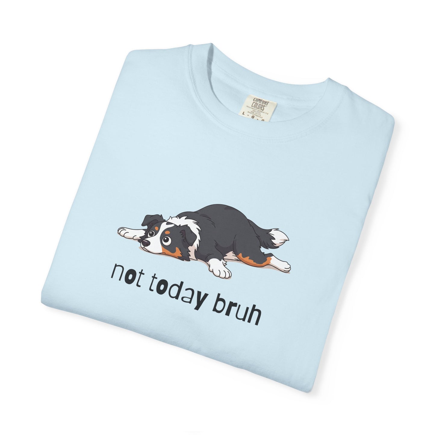 Border Collie Not Today Bruh T-Shirt