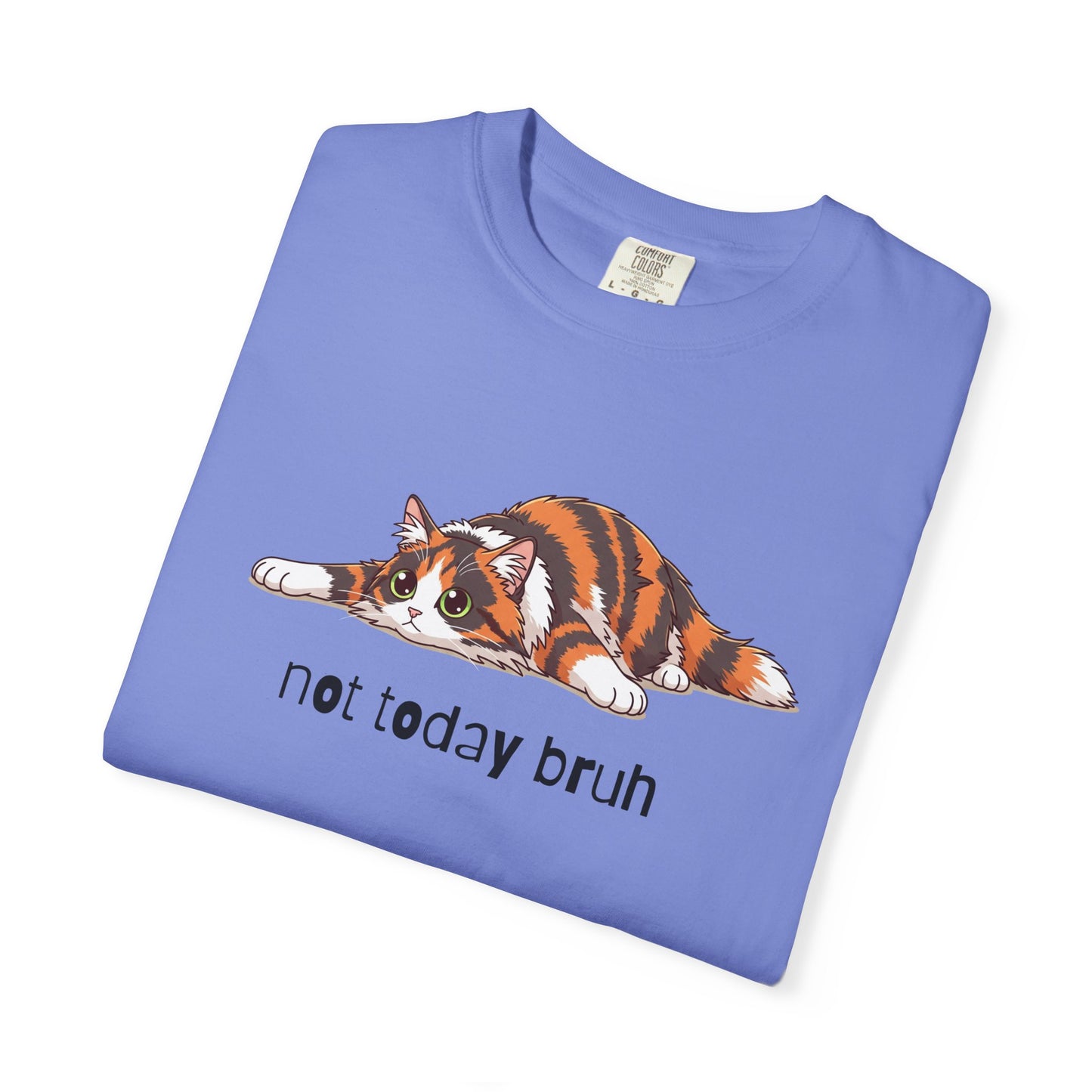 Long hair tortoiseshell cat Not Today Bruh T-Shirt