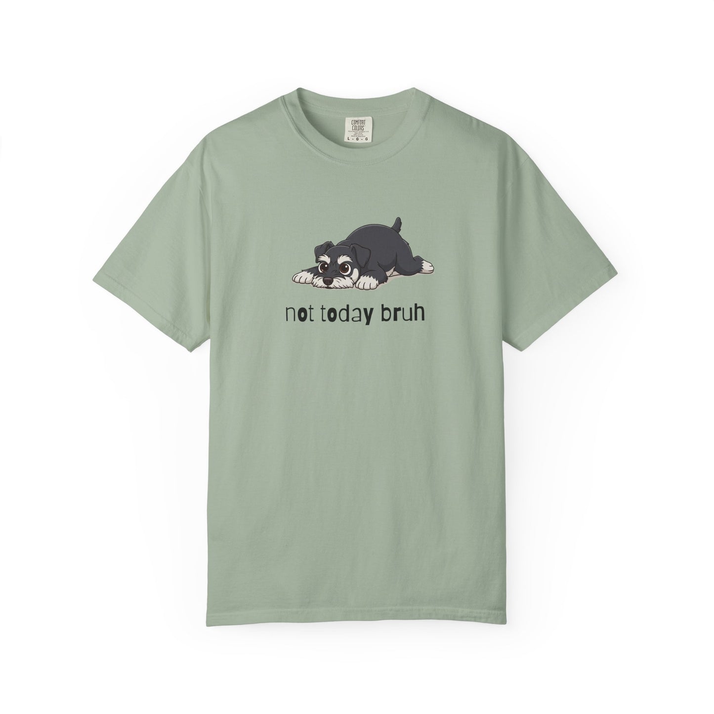 Schnauzer Not Today Bruh T-Shirt