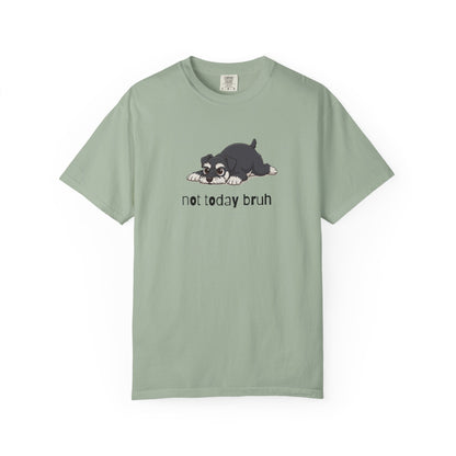 Schnauzer Not Today Bruh T-Shirt