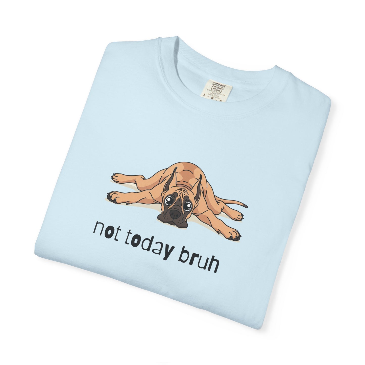 Great Dane Not Today Bruh T-Shirt