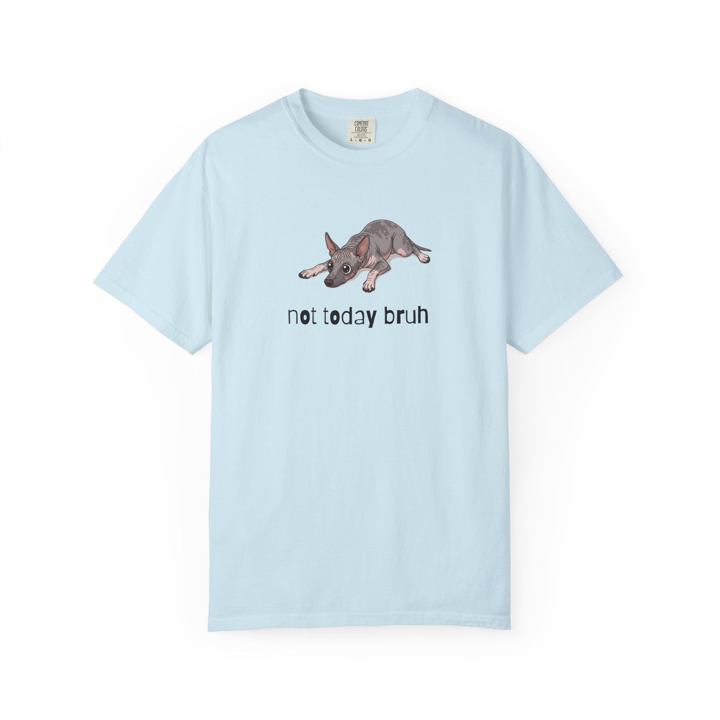 Hairless Dog Not Today Bruh T-Shirt
