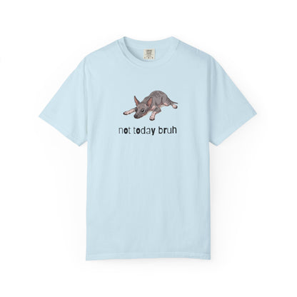 Hairless Dog Not Today Bruh T-Shirt