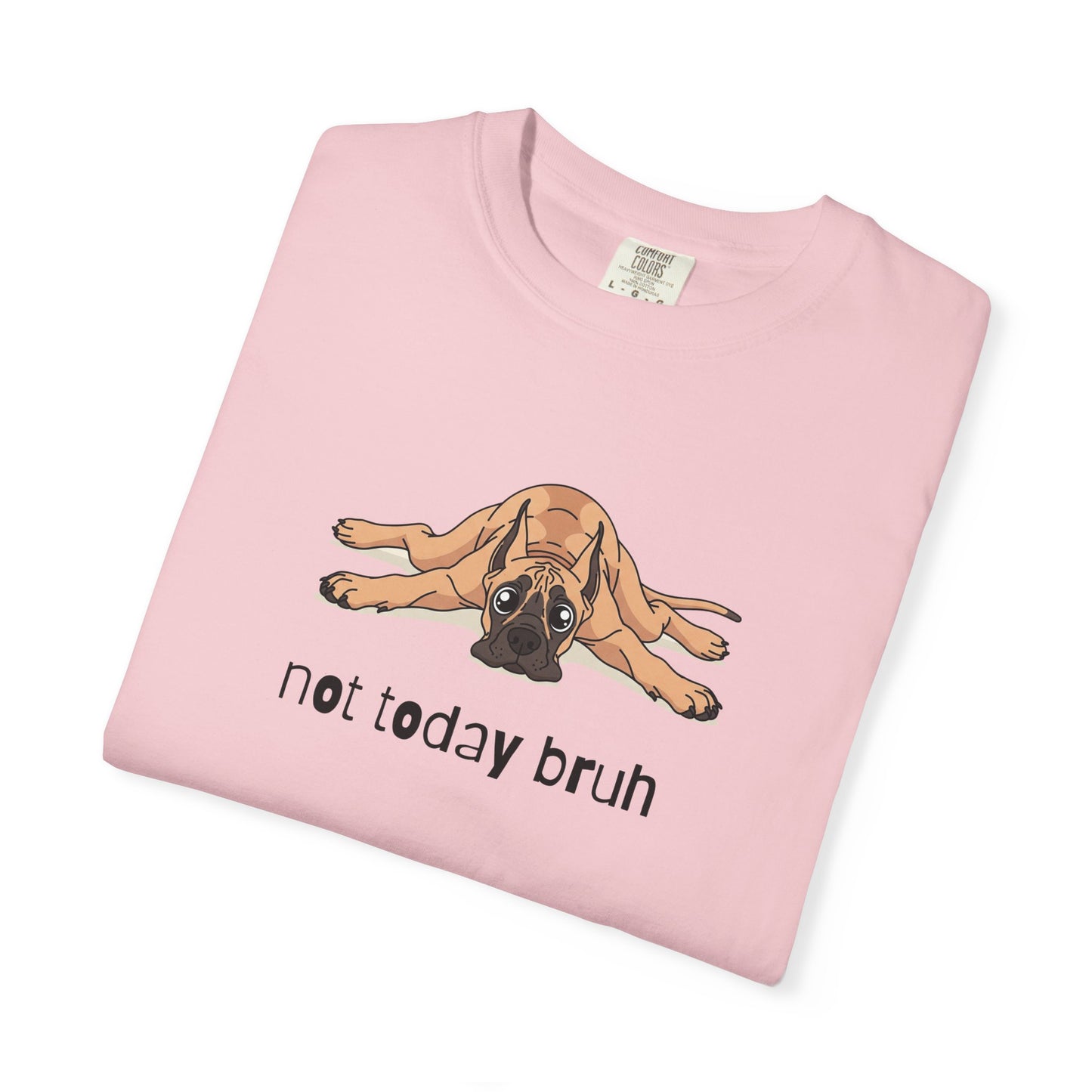 Great Dane Not Today Bruh T-Shirt