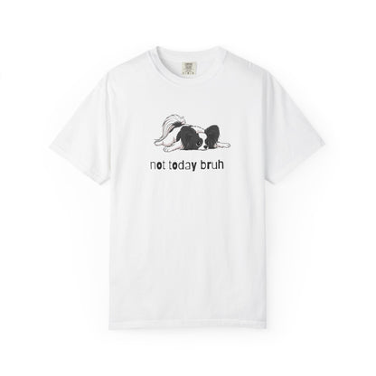 Papillon Not Today Bruh T-Shirt
