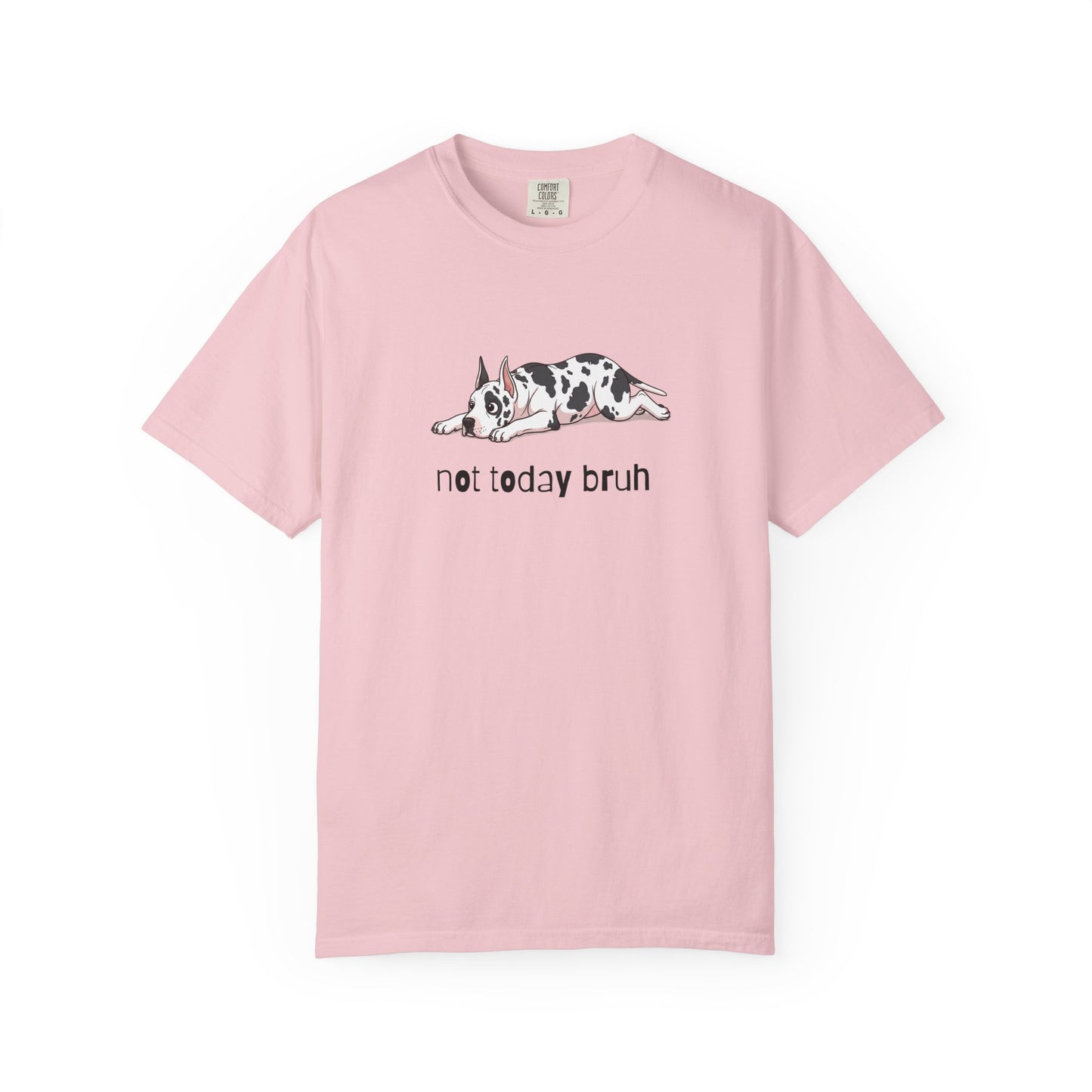 Great Dane Not Today Bruh T-Shirt