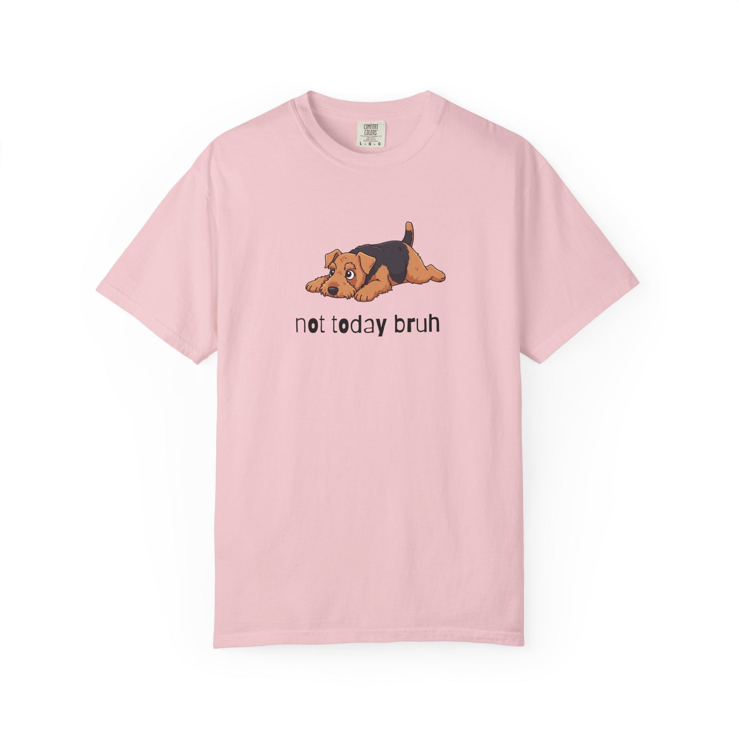 Welshie Not Today Bruh T-Shirt