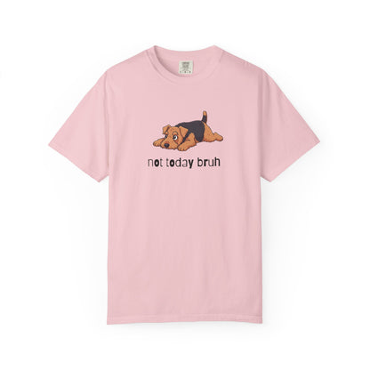 Welshie Not Today Bruh T-Shirt