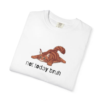 Maine Coon Not Today Bruh T-Shirt