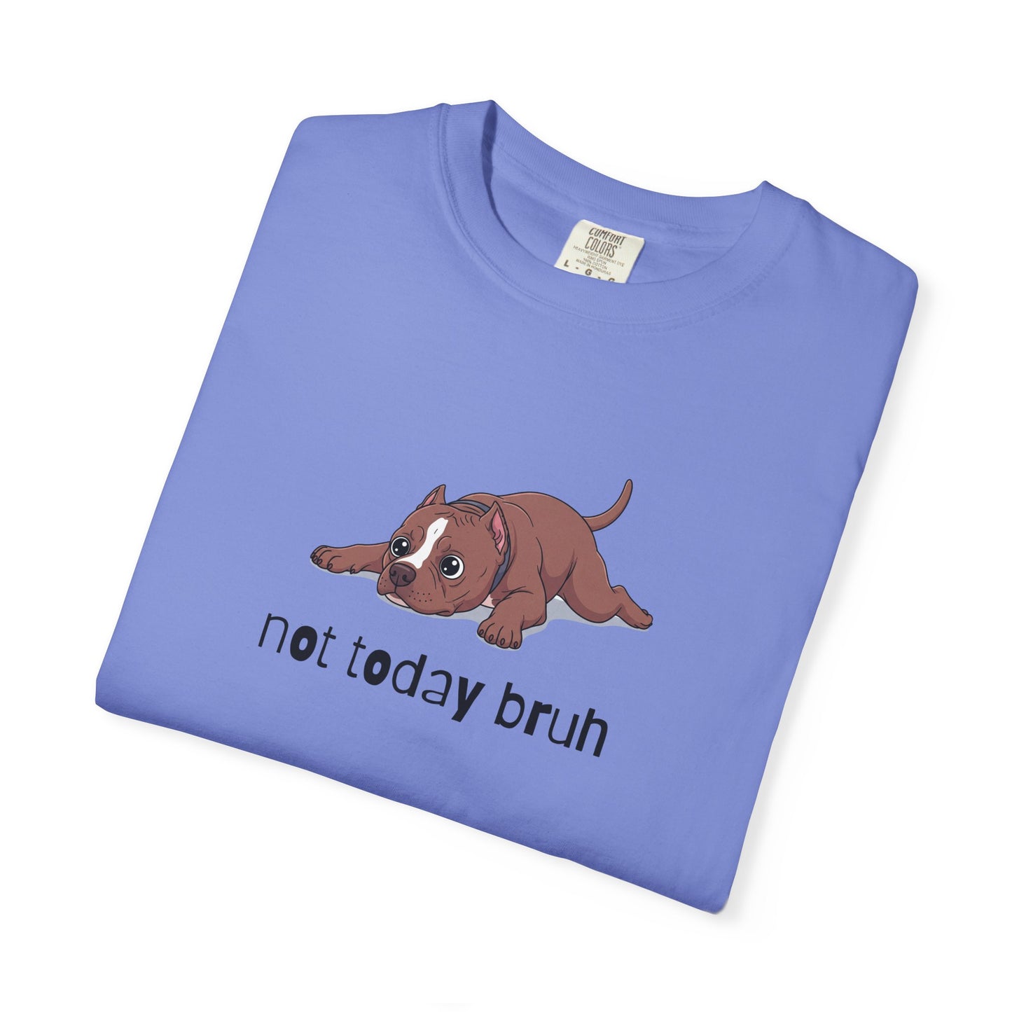 Pitbull Not Today Bruh T-Shirt