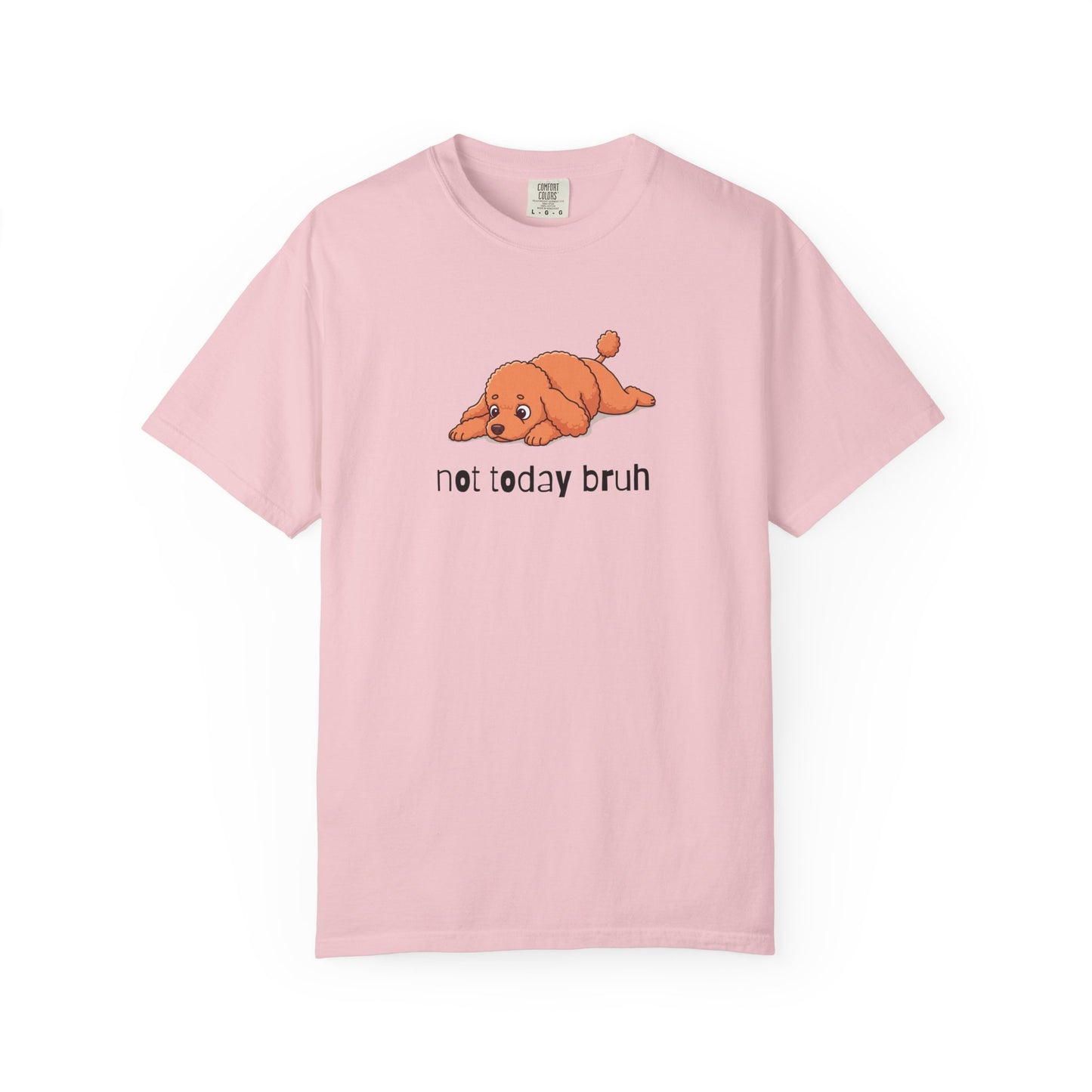 Poodle Not Today Bruh T-Shirt