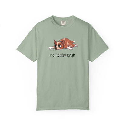 Heeler Not Today Bruh T-Shirt