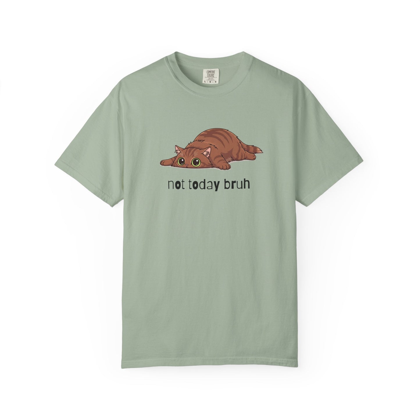 Long hair brown cat Not Today Bruh T-Shirt
