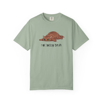 Long hair brown cat Not Today Bruh T-Shirt