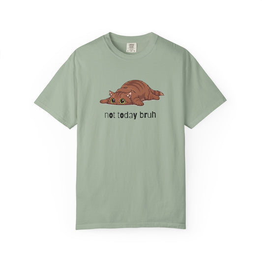 Long hair brown cat Not Today Bruh T-Shirt