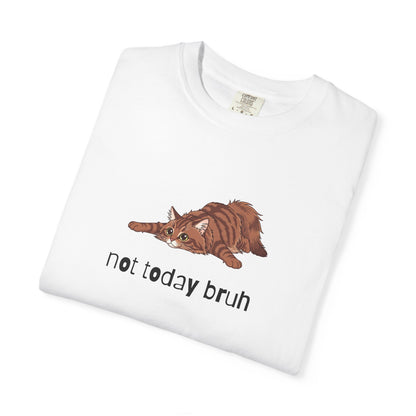 Long hair brown tabby cat Not Today Bruh T-Shirt
