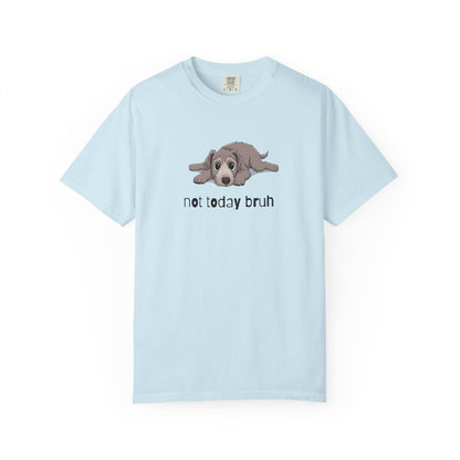 Irish Wolfhound Not Today Bruh T-Shirt