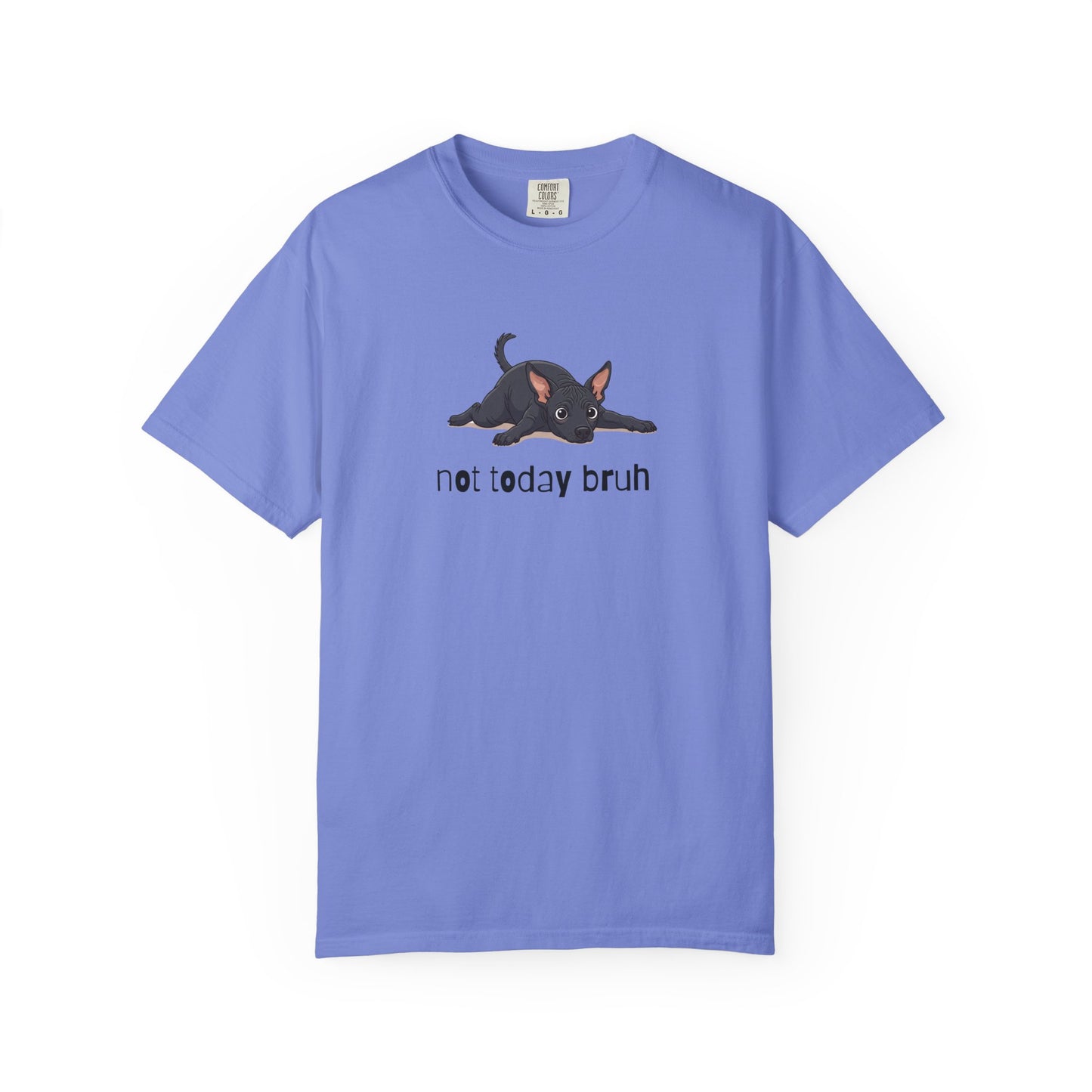 Hairless Dog Not Today Bruh T-Shirt