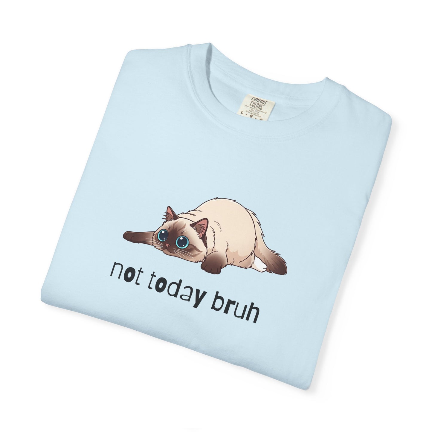 Ragdoll Not Today Bruh T-Shirt