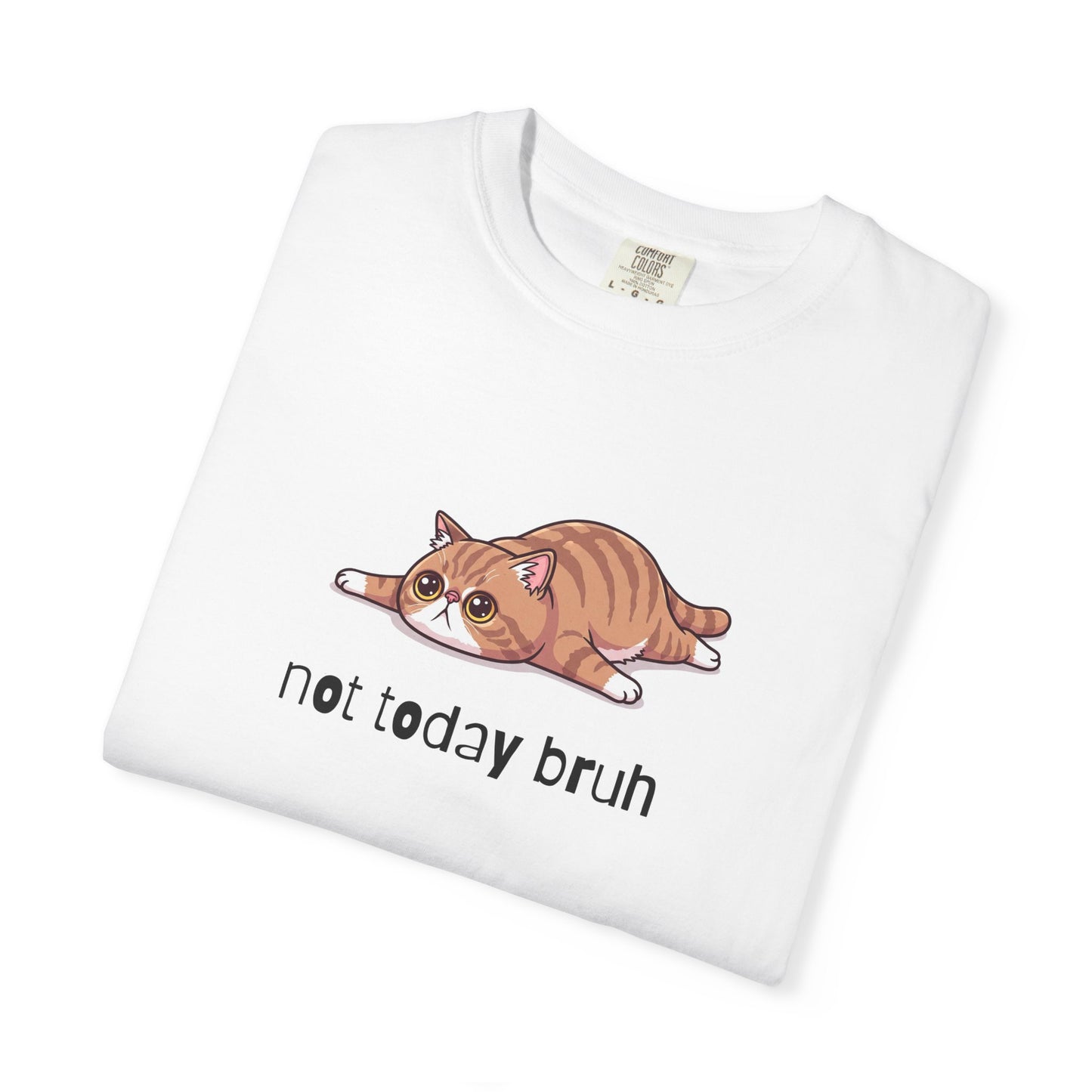 Exotic Shorthair Not Today Bruh T-Shirt