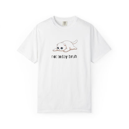 Scottish Fold Not Today Bruh T-Shirt