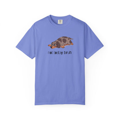 Dacshund Not Today Bruh T-Shirt