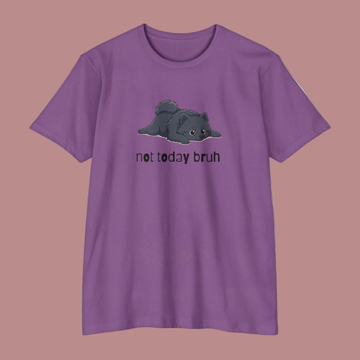 Pomeranian "Not Today" Relaxed Tee | Gift for Pet Lovers