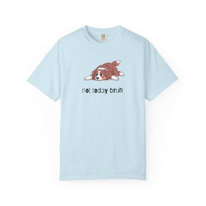 Aussie Not Today Bruh T-Shirt