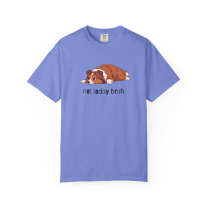 Sheltie Not Today Bruh T-Shirt