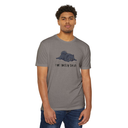 Pomeranian "Not Today" Relaxed Tee | Gift for Pet Lovers