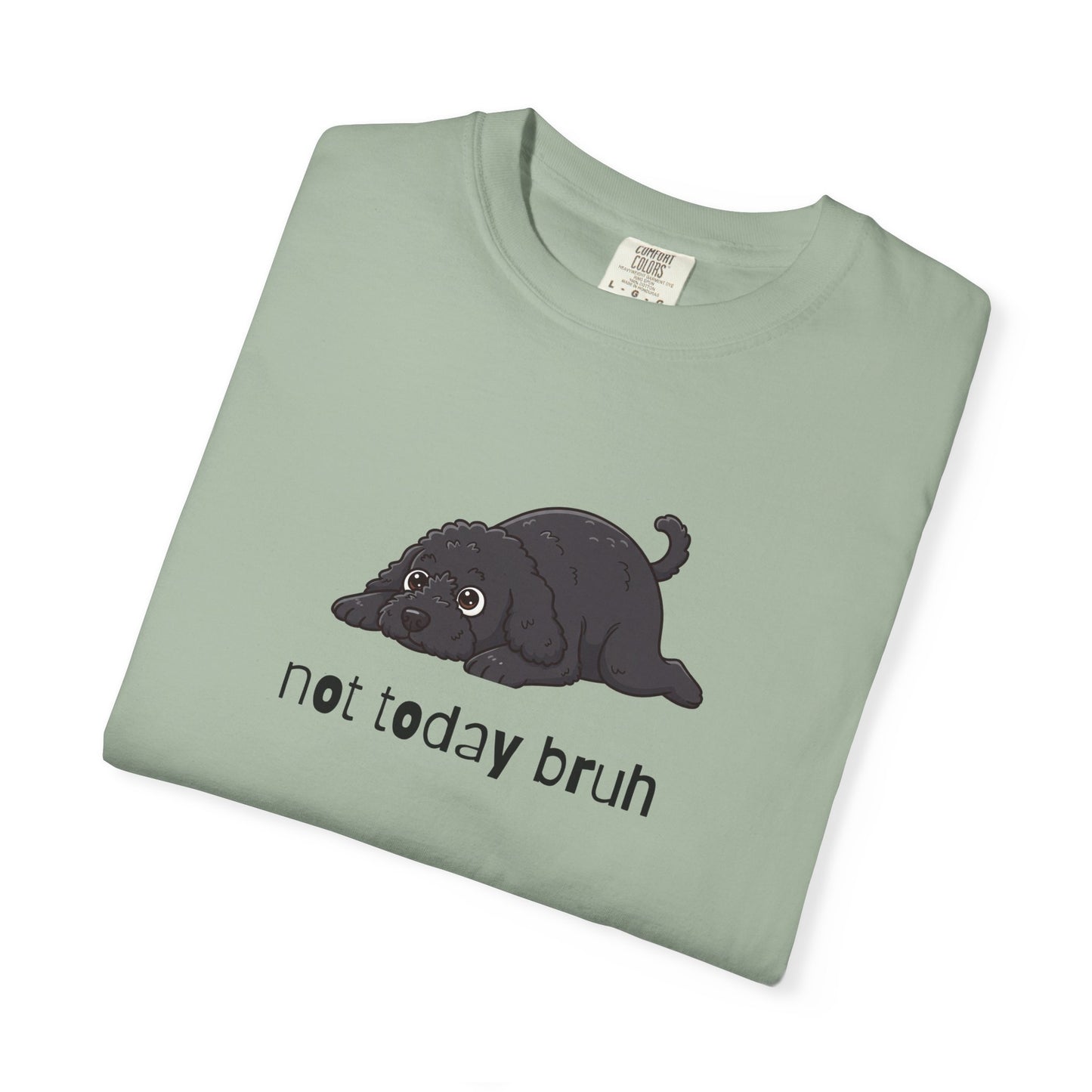 Portie Not Today Bruh T-Shirt