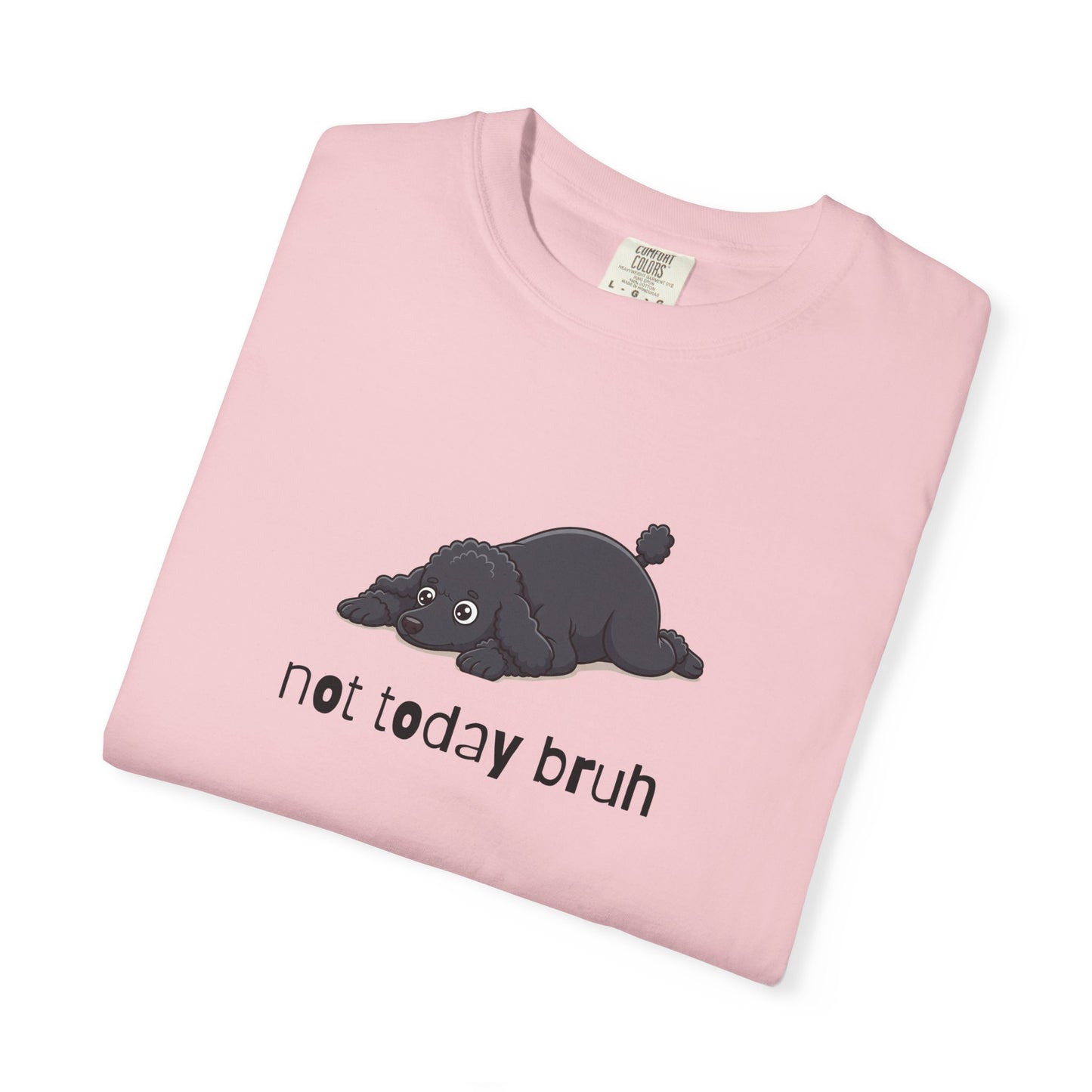 Poodle Not Today Bruh T-Shirt