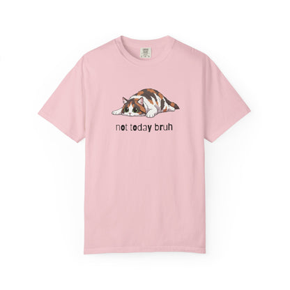 Long hair calico cat Not Today Bruh T-Shirt