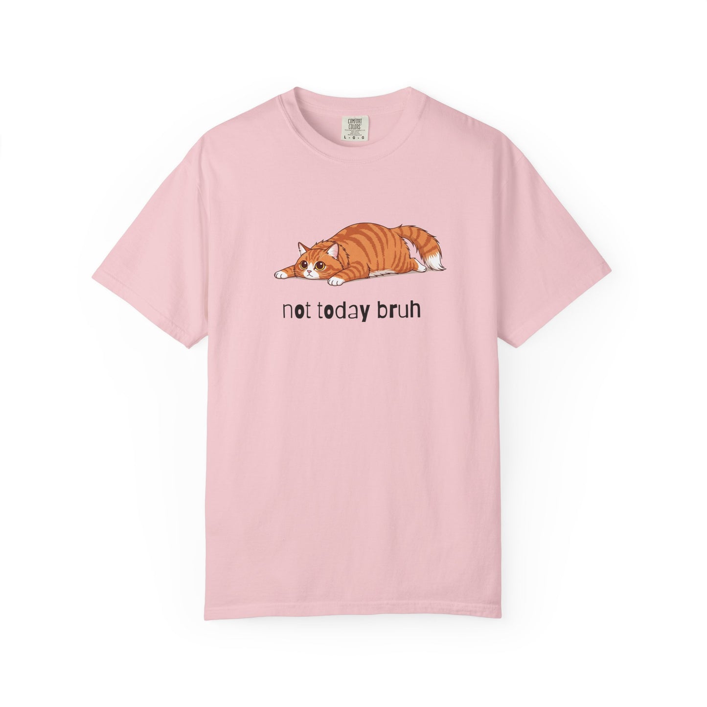 Long hair orange cat Not Today Bruh T-Shirt