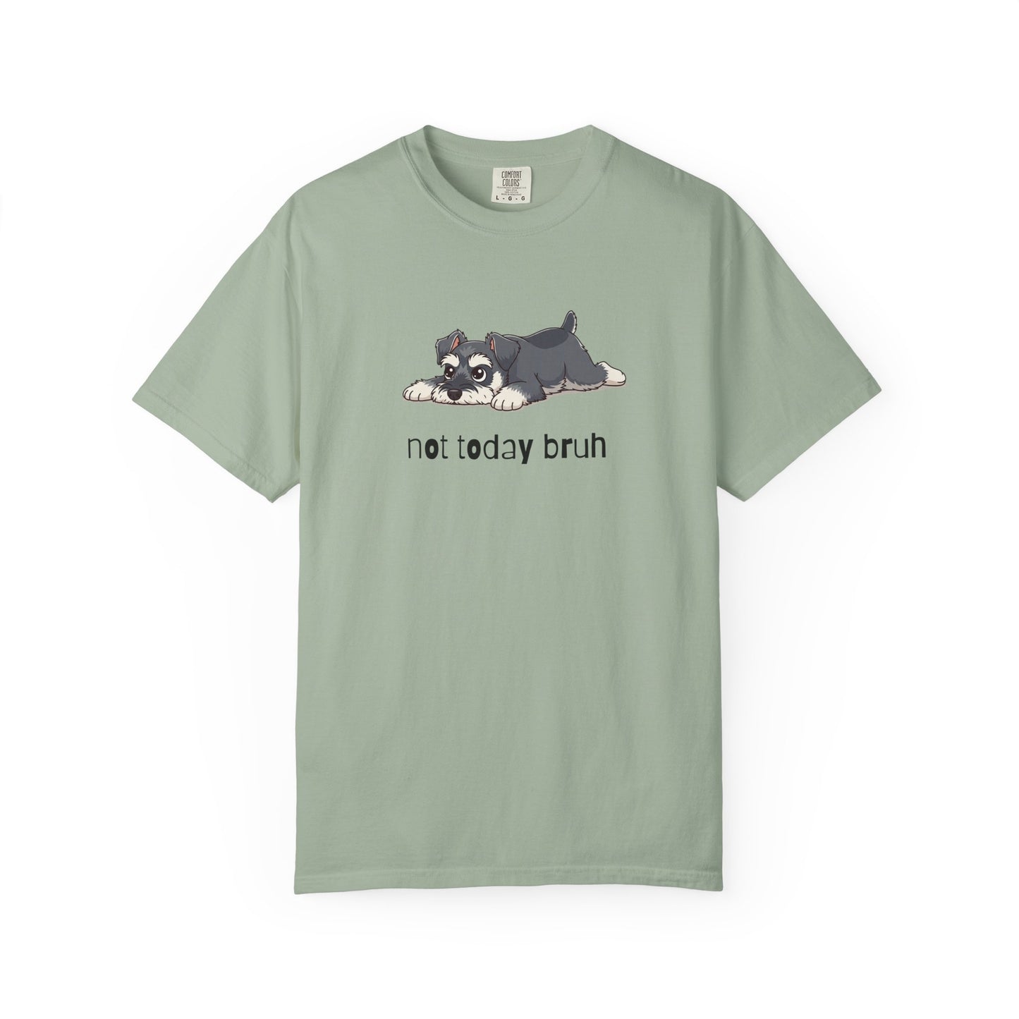Schnauzer Not Today Bruh T-Shirt