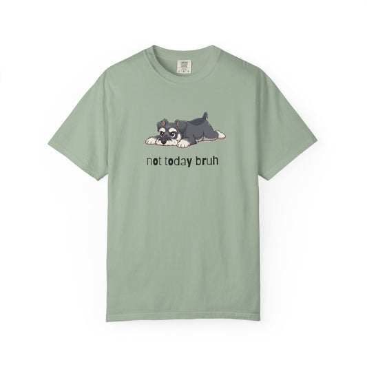 Schnauzer Not Today Bruh T-Shirt