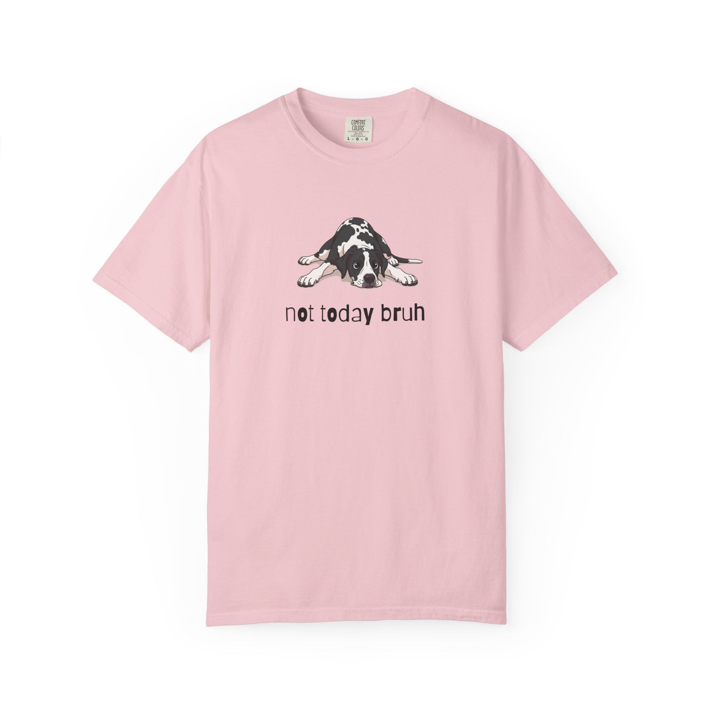 Great Dane Not Today Bruh T-Shirt