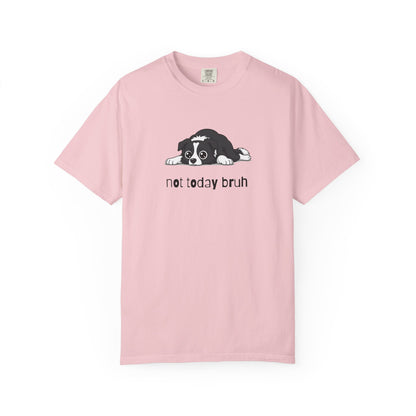 Border Collie Not Today Bruh T-Shirt