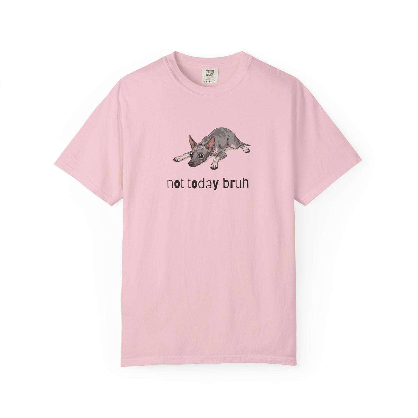 Hairless Dog Not Today Bruh T-Shirt