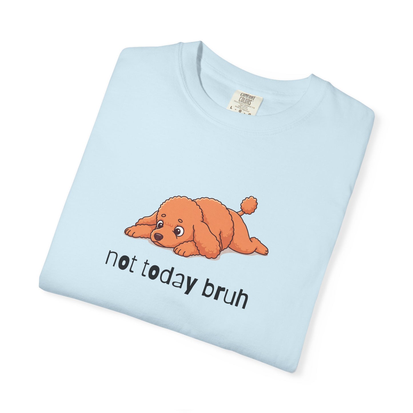 Poodle Not Today Bruh T-Shirt