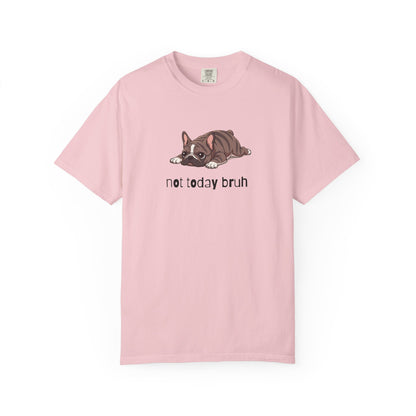 Frenchie Not Today Bruh T-Shirt