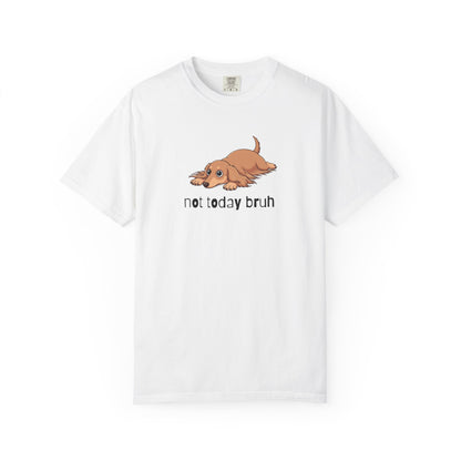 Dacshund Not Today Bruh T-Shirt
