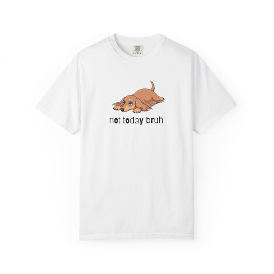 Dacshund Not Today Bruh T-Shirt