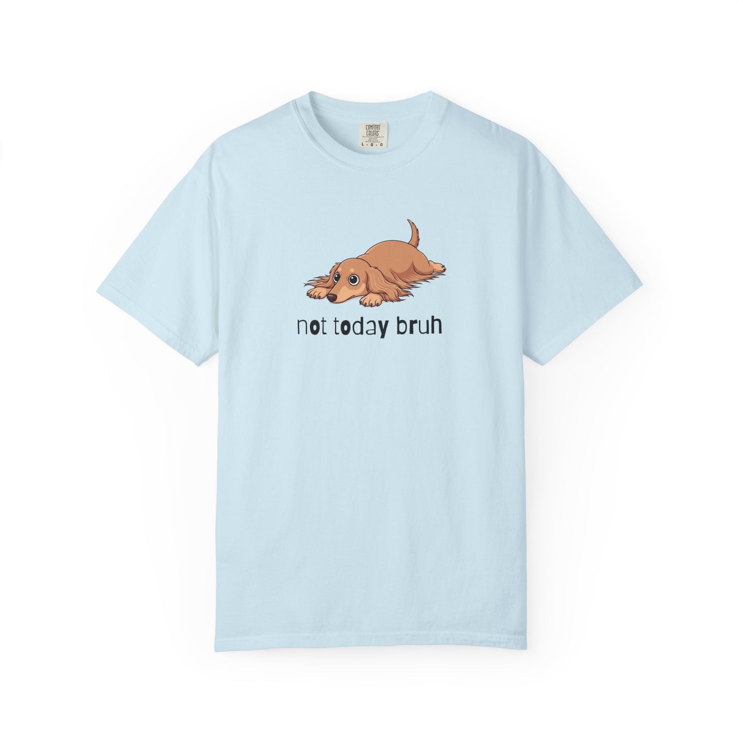 Dacshund Not Today Bruh T-Shirt