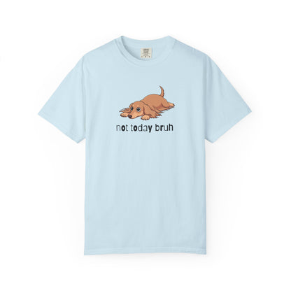Dacshund Not Today Bruh T-Shirt