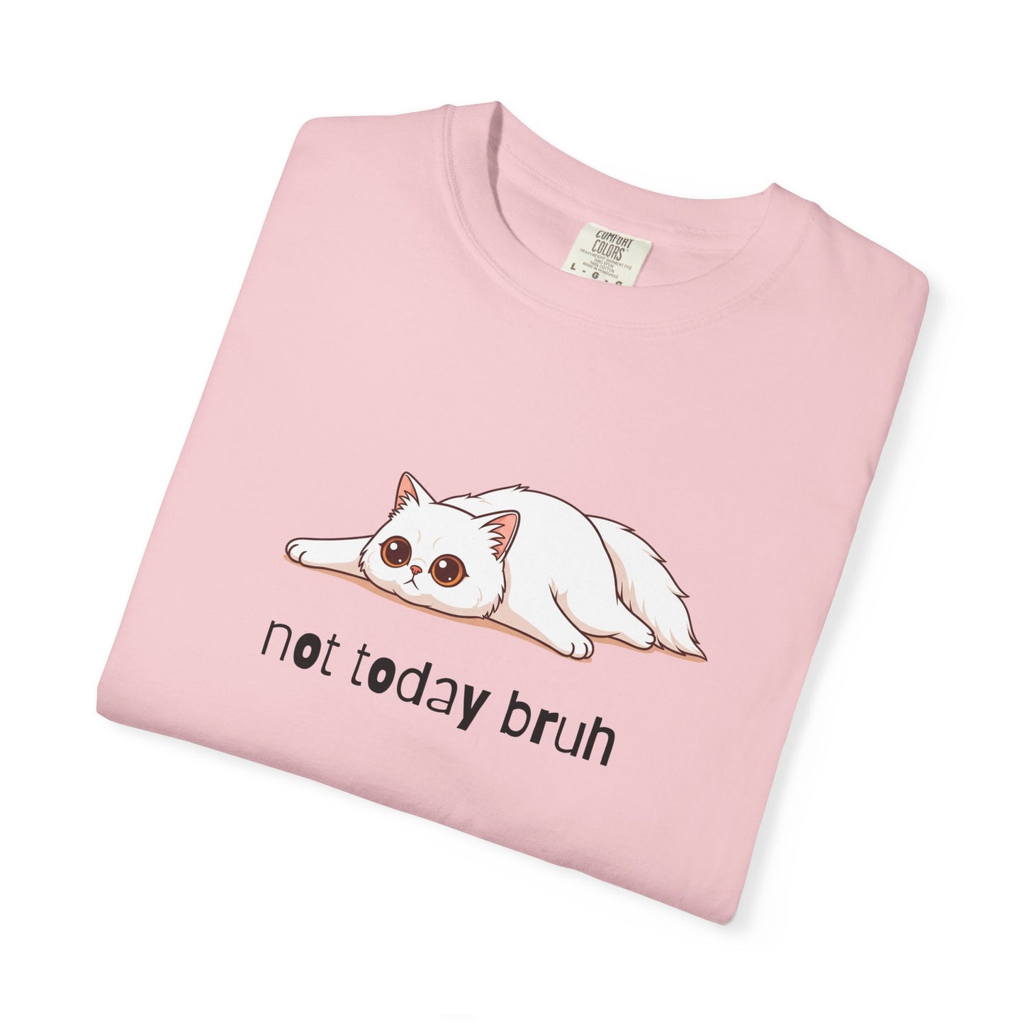 Persian Not Today Bruh T-Shirt