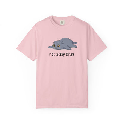 Scottish Fold Not Today Bruh T-Shirt